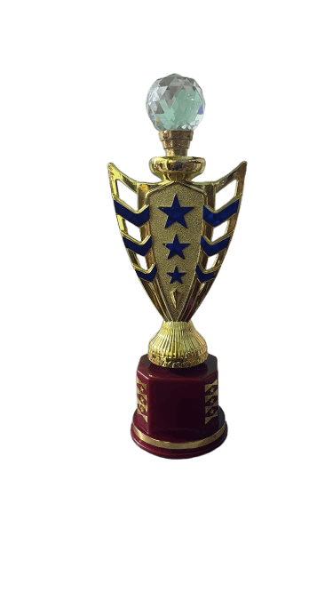 Custom Trophies